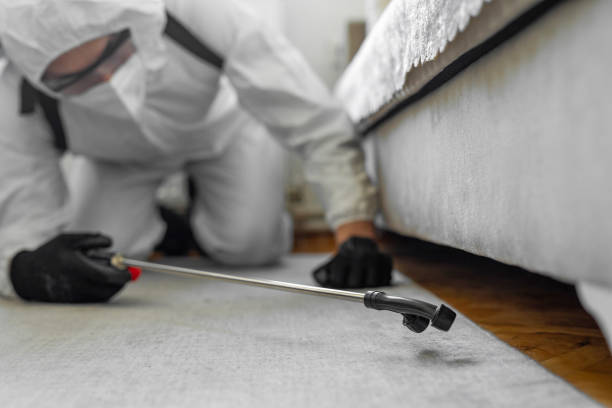Professional Cockroach Control technician working in Hawaiian Beaches, HI